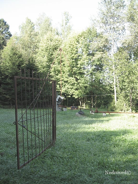 участок огорожен, территория озеленена